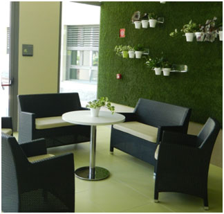 verde-3